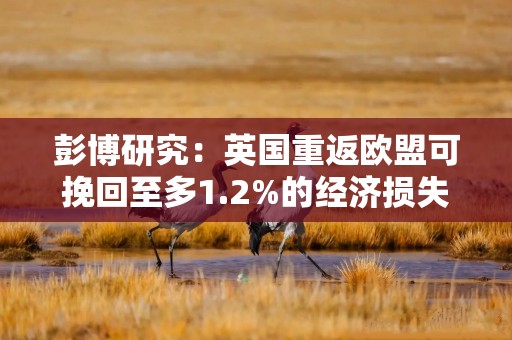 彭博研究：英国重返欧盟可挽回至多1.2%的经济损失