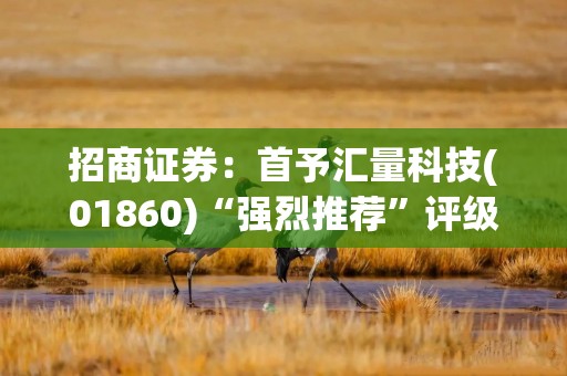 招商证券：首予汇量科技(01860)“强烈推荐”评级 产品迭代驱动业绩高增