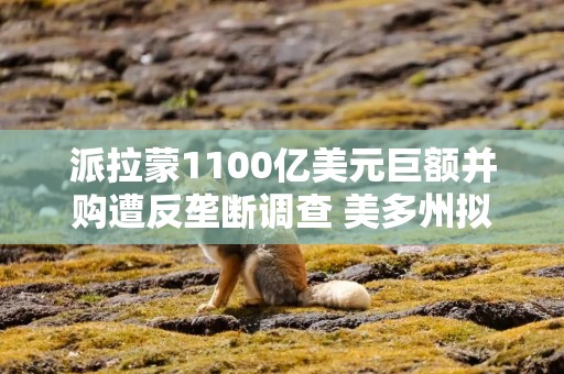 派拉蒙1100亿美元巨额并购遭反垄断调查 美多州拟联合起诉阻断审查