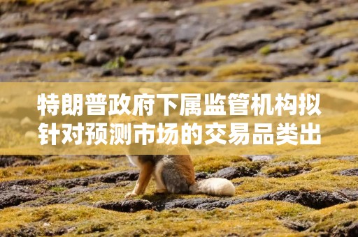 特朗普政府下属监管机构拟针对预测市场的交易品类出台新规