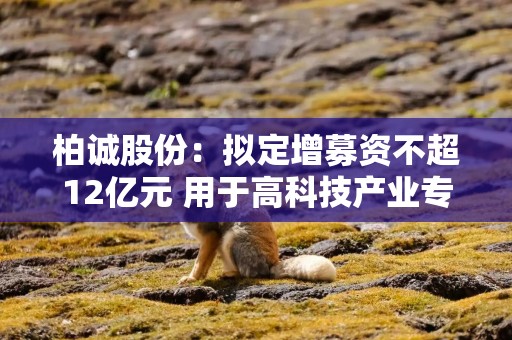 柏诚股份：拟定增募资不超12亿元 用于高科技产业专项工程建设项目