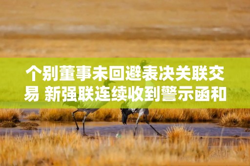 个别董事未回避表决关联交易 新强联连续收到警示函和监管函