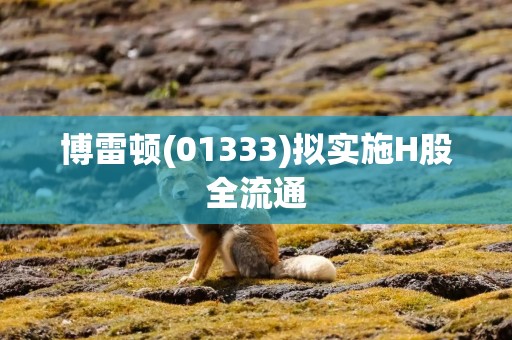 博雷顿(01333)拟实施H股全流通