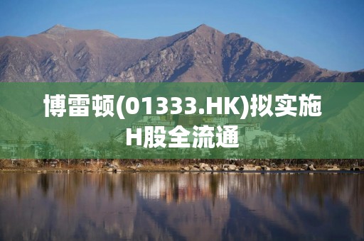 博雷顿(01333.HK)拟实施H股全流通