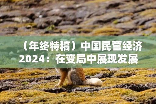 （年终特稿）中国民营经济2024：在变局中展现发展韧性