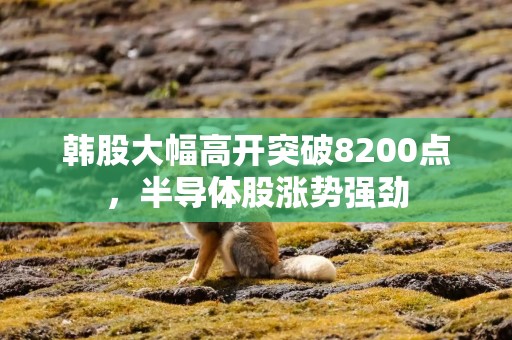 韩股大幅高开突破8200点，半导体股涨势强劲