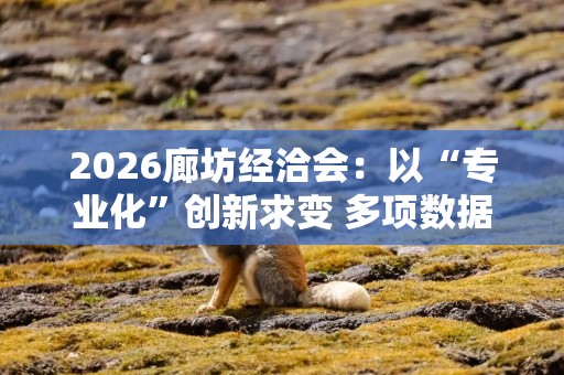 2026廊坊经洽会：以“专业化”创新求变 多项数据创历史之最