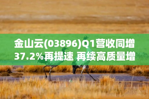 金山云(03896)Q1营收同增37.2%再提速 再续高质量增长态势