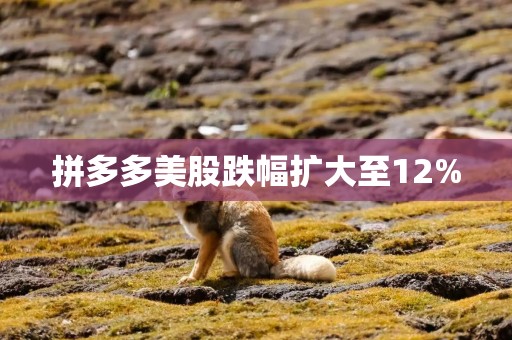 拼多多美股跌幅扩大至12%