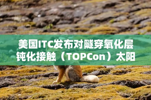 美国ITC发布对隧穿氧化层钝化接触（TOPCon）太阳能电池、组件、面板及其组件和下游产品的337部分终裁