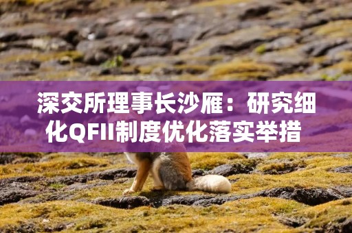 深交所理事长沙雁：研究细化QFII制度优化落实举措 更好服务在岸与离岸市场协同发展