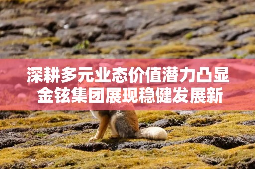 深耕多元业态价值潜力凸显 金铉集团展现稳健发展新态势