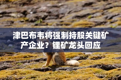 津巴布韦将强制持股关键矿产企业？锂矿龙头回应