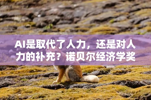 AI是取代了人力，还是对人力的补充？诺贝尔经济学奖得主托马斯·萨金特：让AI成为你的人力资本
