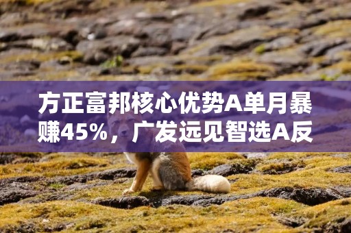 方正富邦核心优势A单月暴赚45%，广发远见智选A反亏2%！科技基金业绩极致分化