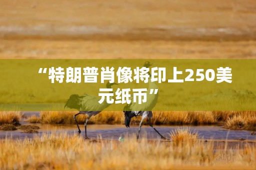 “特朗普肖像将印上250美元纸币”