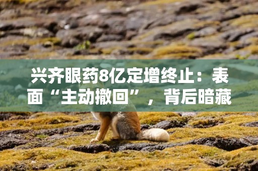 兴齐眼药8亿定增终止：表面“主动撤回”，背后暗藏三大风险