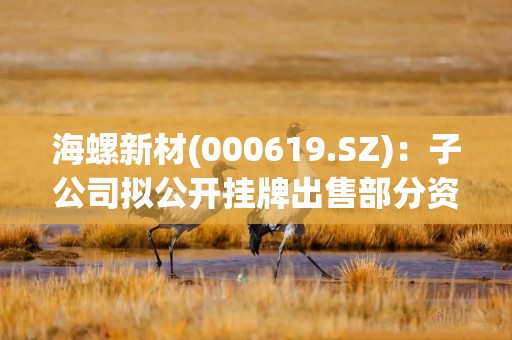 海螺新材(000619.SZ)：子公司拟公开挂牌出售部分资产