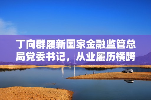丁向群履新国家金融监管总局党委书记，从业履历横跨金融多领域