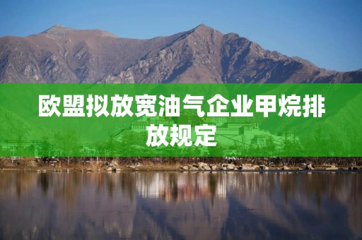 欧盟拟放宽油气企业甲烷排放规定