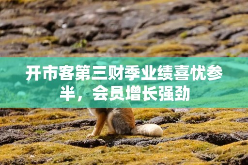 开市客第三财季业绩喜忧参半，会员增长强劲