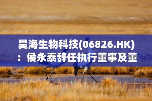 昊海生物科技(06826.HK)：侯永泰辞任执行董事及董事会主席