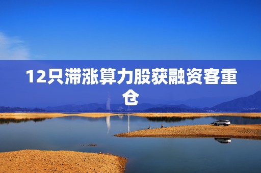12只滞涨算力股获融资客重仓