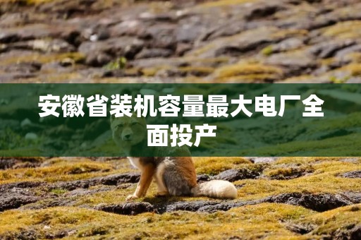 安徽省装机容量最大电厂全面投产