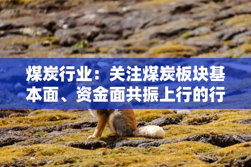 煤炭行业：关注煤炭板块基本面、资金面共振上行的行情