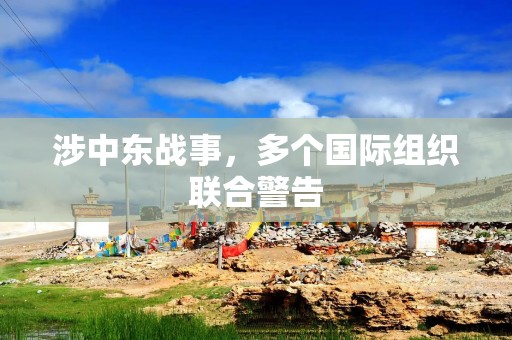 涉中东战事，多个国际组织联合警告