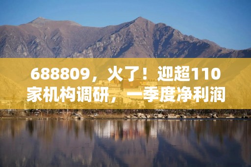 688809，火了！迎超110家机构调研，一季度净利润大增近700%！