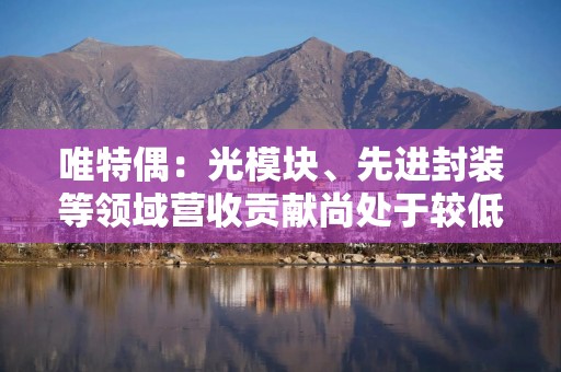 唯特偶：光模块、先进封装等领域营收贡献尚处于较低水平