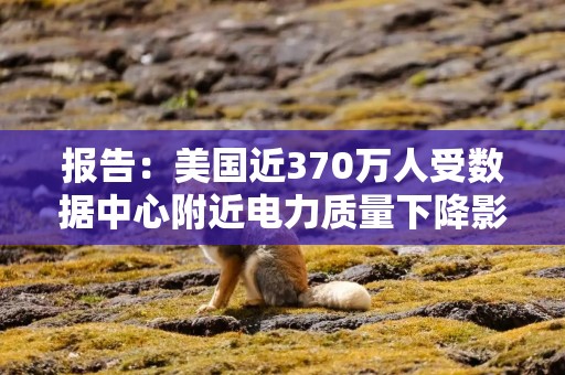 报告：美国近370万人受数据中心附近电力质量下降影响