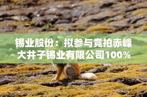 锡业股份：拟参与竞拍赤峰大井子锡业有限公司100%股权