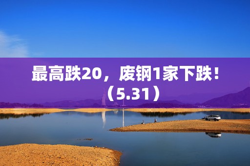 最高跌20，废钢1家下跌！（5.31）