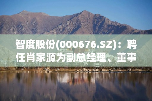 智度股份(000676.SZ)：聘任肖家源为副总经理、董事会秘书