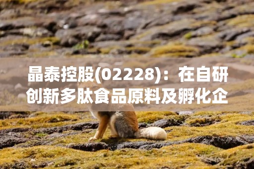 晶泰控股(02228)：在自研创新多肽食品原料及孵化企业创新药管线方面取得两项突破性进展