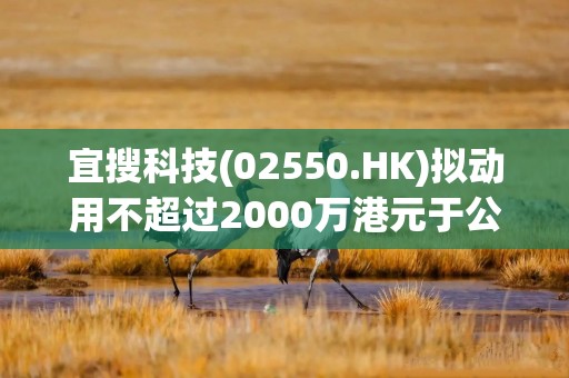 宜搜科技(02550.HK)拟动用不超过2000万港元于公开市场购回股份