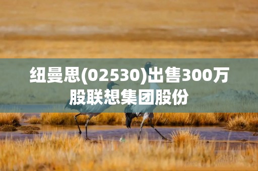 纽曼思(02530)出售300万股联想集团股份