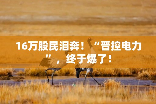 16万股民泪奔！“晋控电力”，终于爆了！