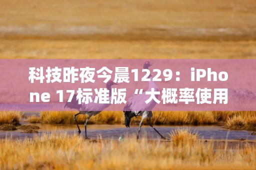 科技昨夜今晨1229：iPhone 17标准版“大概率使用高刷屏”