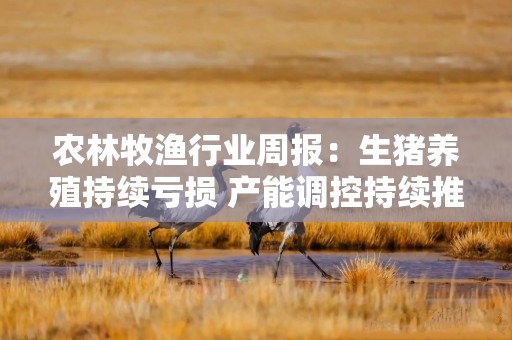农林牧渔行业周报：生猪养殖持续亏损 产能调控持续推进