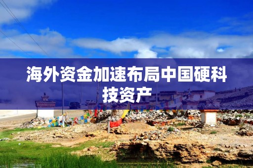 海外资金加速布局中国硬科技资产