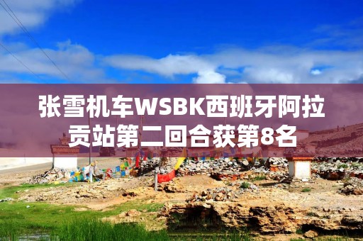 张雪机车WSBK西班牙阿拉贡站第二回合获第8名