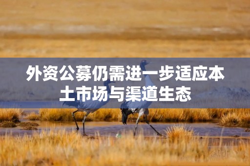 外资公募仍需进一步适应本土市场与渠道生态