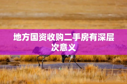 地方国资收购二手房有深层次意义