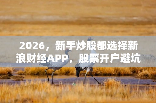 2026，新手炒股都选择新浪财经APP，股票开户避坑指南来了！