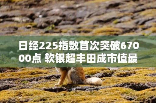 日经225指数首次突破67000点 软银超丰田成市值最高日企