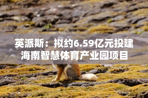 英派斯：拟约6.59亿元投建海南智慧体育产业园项目