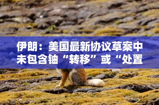 伊朗：美国最新协议草案中未包含铀“转移”或“处置”条款